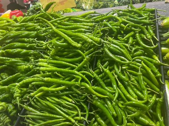 貴州省山地農(nóng)業(yè)機(jī)械研究所關(guān)于采購(gòu)改進(jìn)辣椒淸選機(jī)的比選公告