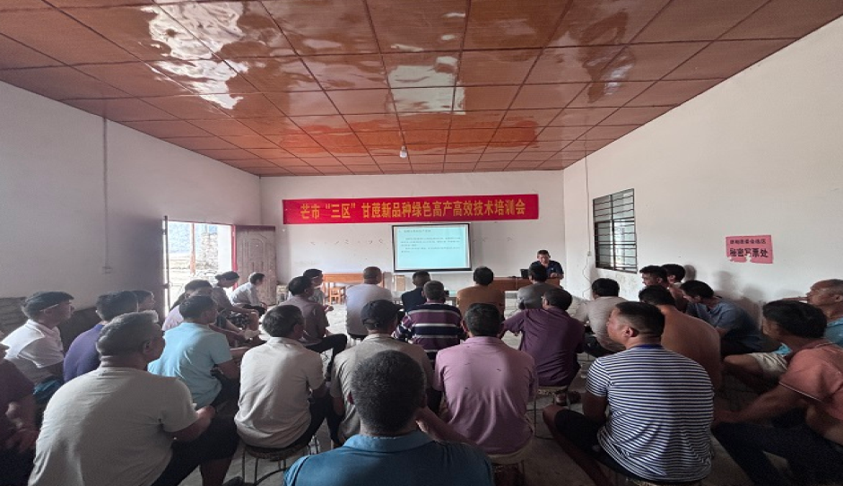 云南省农科院甘蔗所科技人员深入芒市开展新品种绿色高产高效技术培训