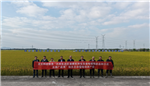 亚夫科技服务项目“不同生态区南粳系列优良食味粳稻新品种示范及推广应用”启动暨现场测产会在溧阳顺利召开