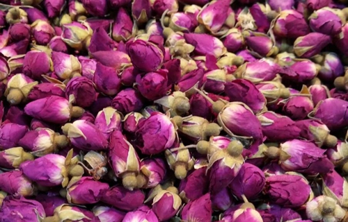 《玫瑰红茶加工技术规程》等三项供销合作行业标准正式获批发布